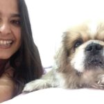 Cum petreci pe 26 august, de Ziua Internațională a Câinelui