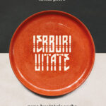 Ierburi uitate – ghidul poetic al unei bucătării fără rețete